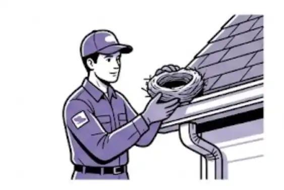 Nest removal