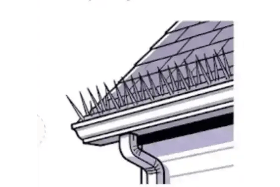 Nest removal