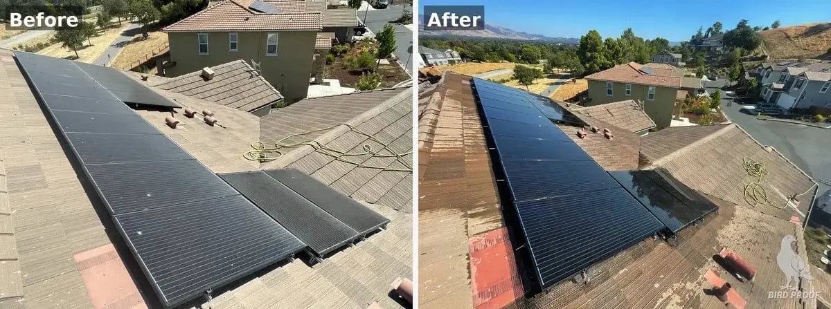 before-after-1_1600_wm_small_br-1