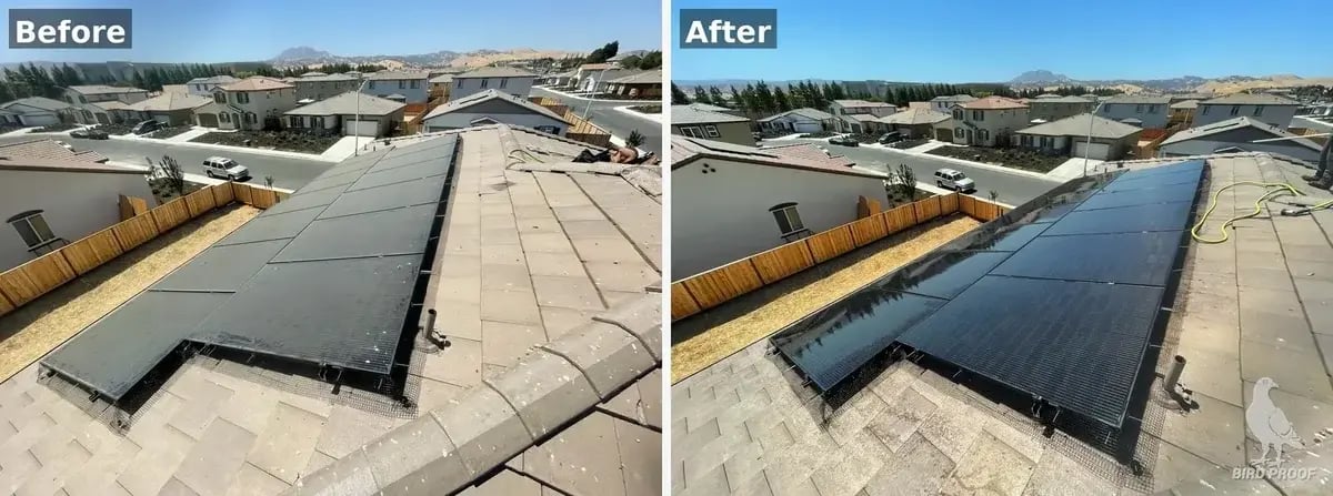 before-after-3_1600_wm_small_br